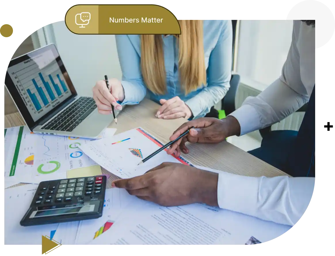 Cash flow and budgets